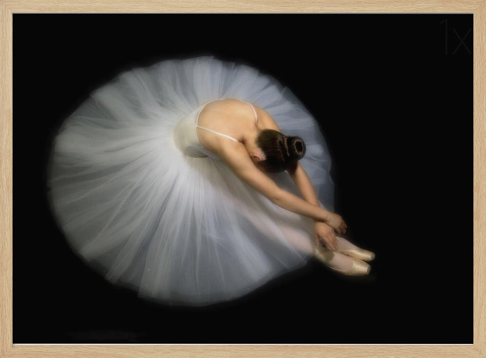 Eleganz | Poster - Kunstdruck
