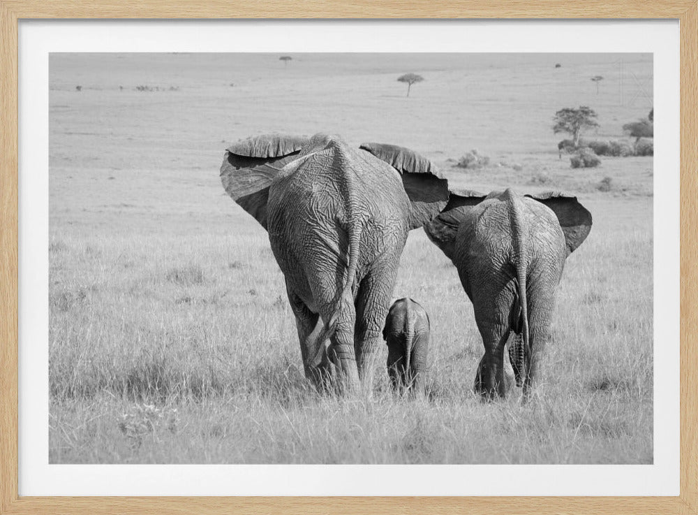 Tre rumpor! | Poster