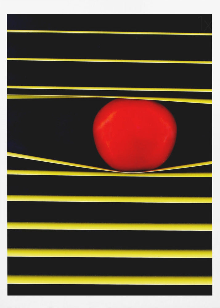 Linjer och cirklar | Poster