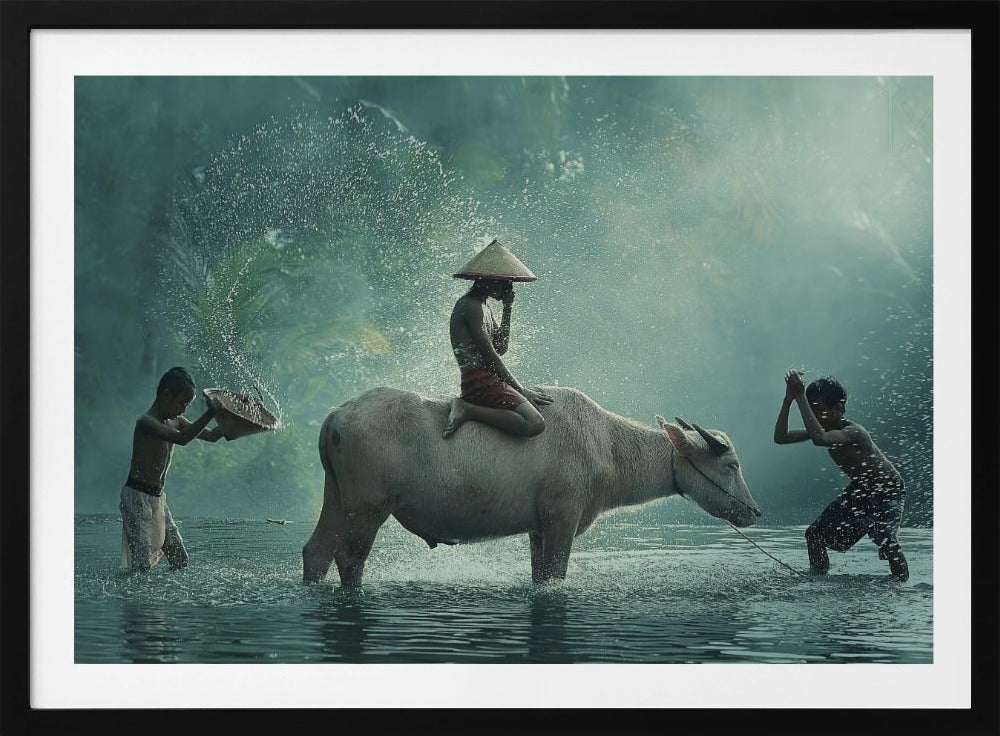 Vattenbuffel | Poster