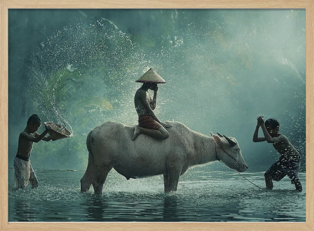 Vattenbuffel | Poster