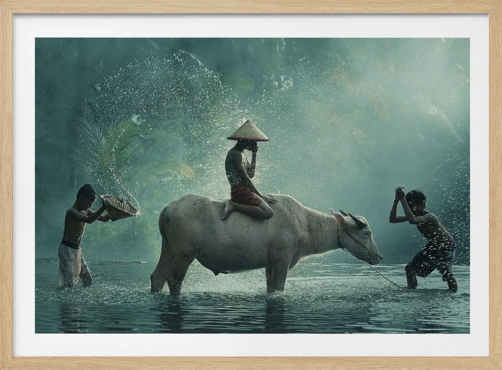 Vattenbuffel | Poster