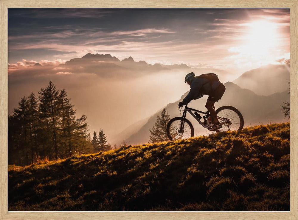 Radfahren in der goldenen Stunde | Poster - Kunstdruck