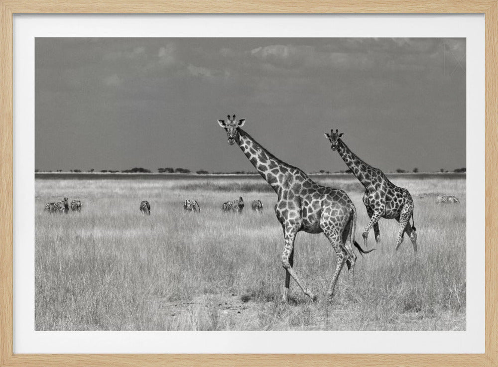 Turister spenderar | Poster