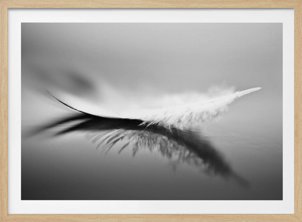 Bianco | Poster - Stampe d’Arte