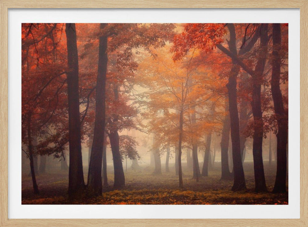Sentir | Posters - Impresiones de Arte