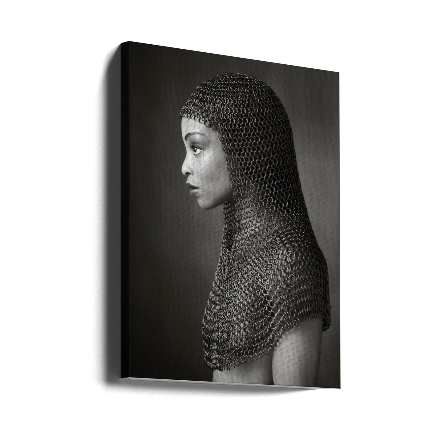 Damringbrynja | Canvas