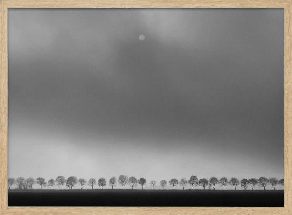 Paesaggio del polder | Poster - Stampe d’Arte