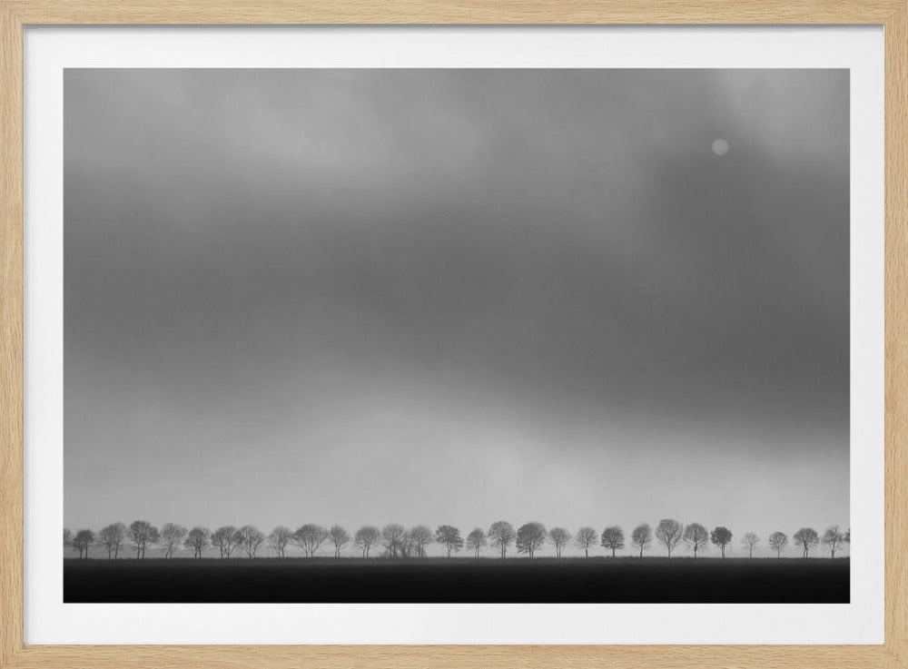 Paesaggio del polder | Poster - Stampe d’Arte