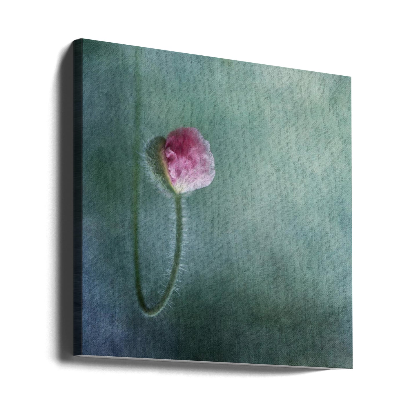 Förtroende | Canvas