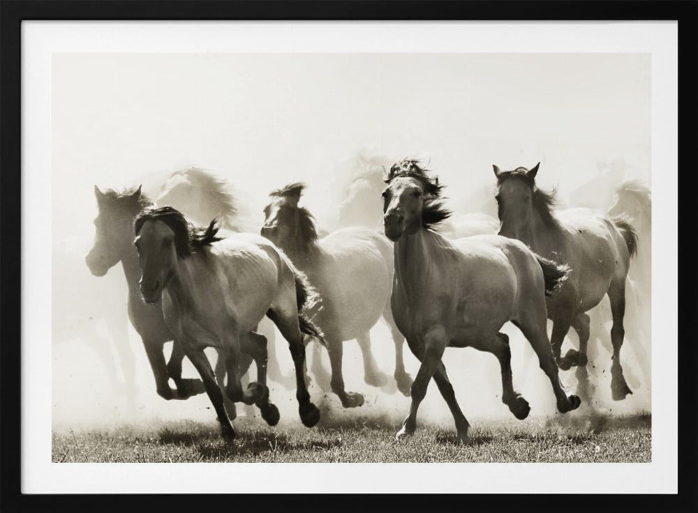Pferd | Poster - Kunstdruck