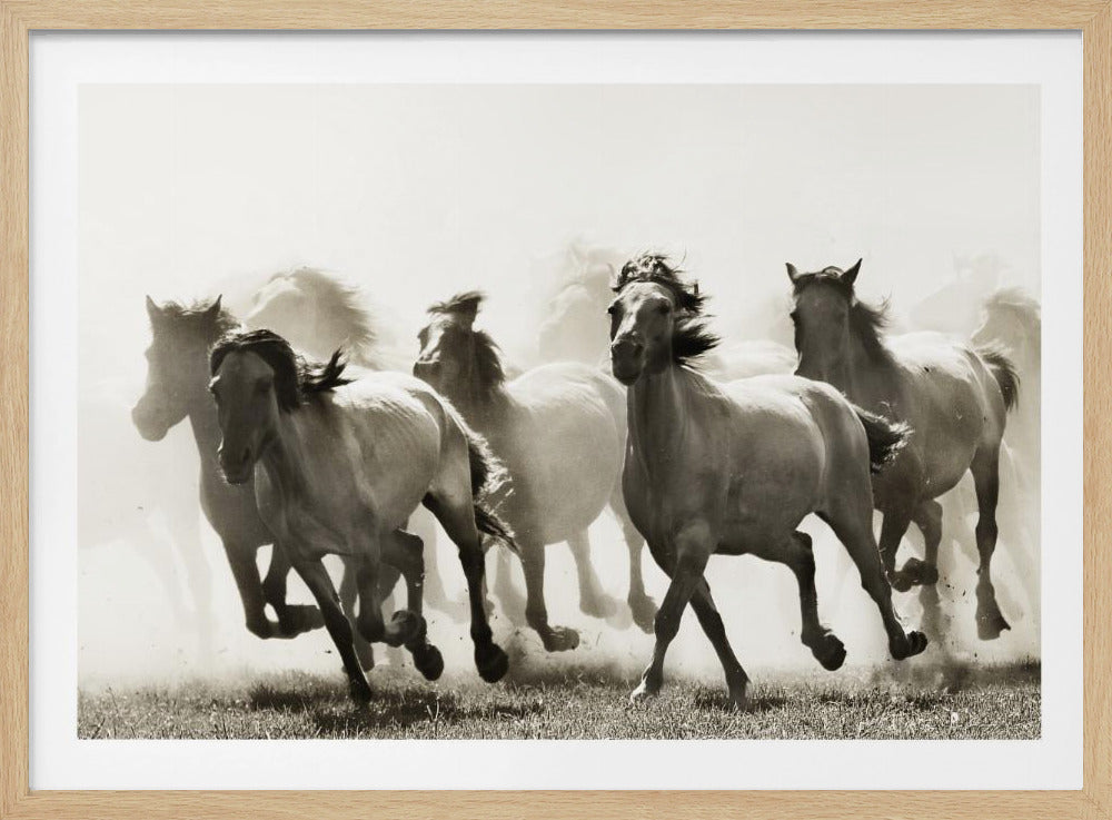 Pferd | Poster - Kunstdruck