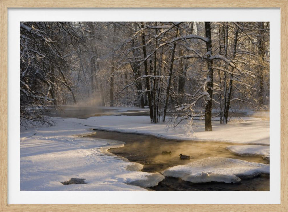 Det första ljuset | Poster