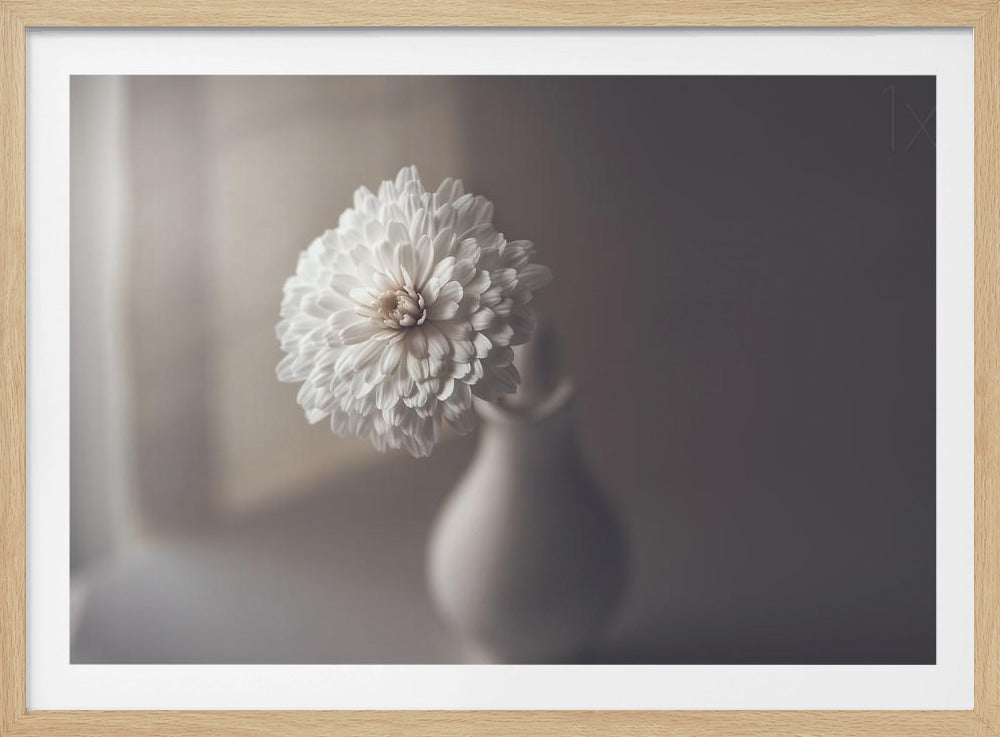 fönsterlampa | Poster