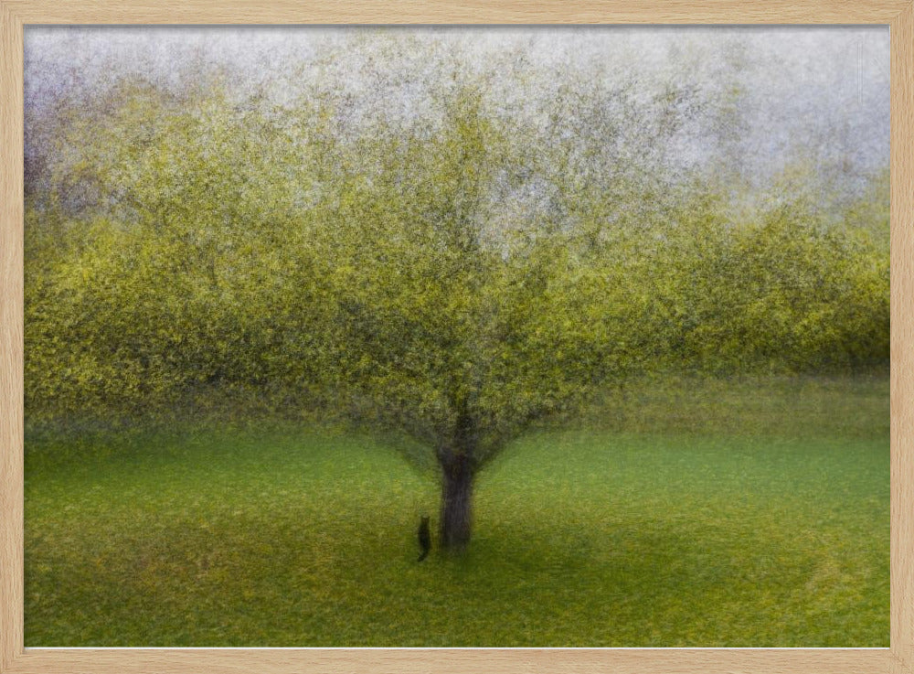 Die Katze am Baum | Poster - Kunstdruck
