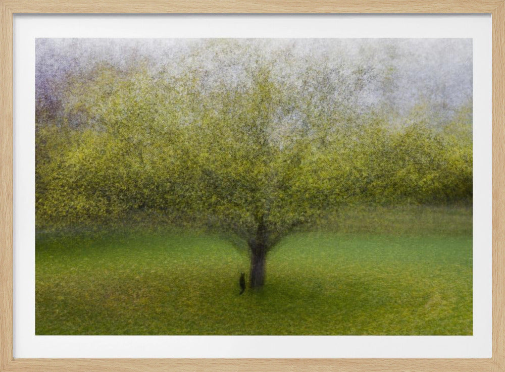 Die Katze am Baum | Poster - Kunstdruck