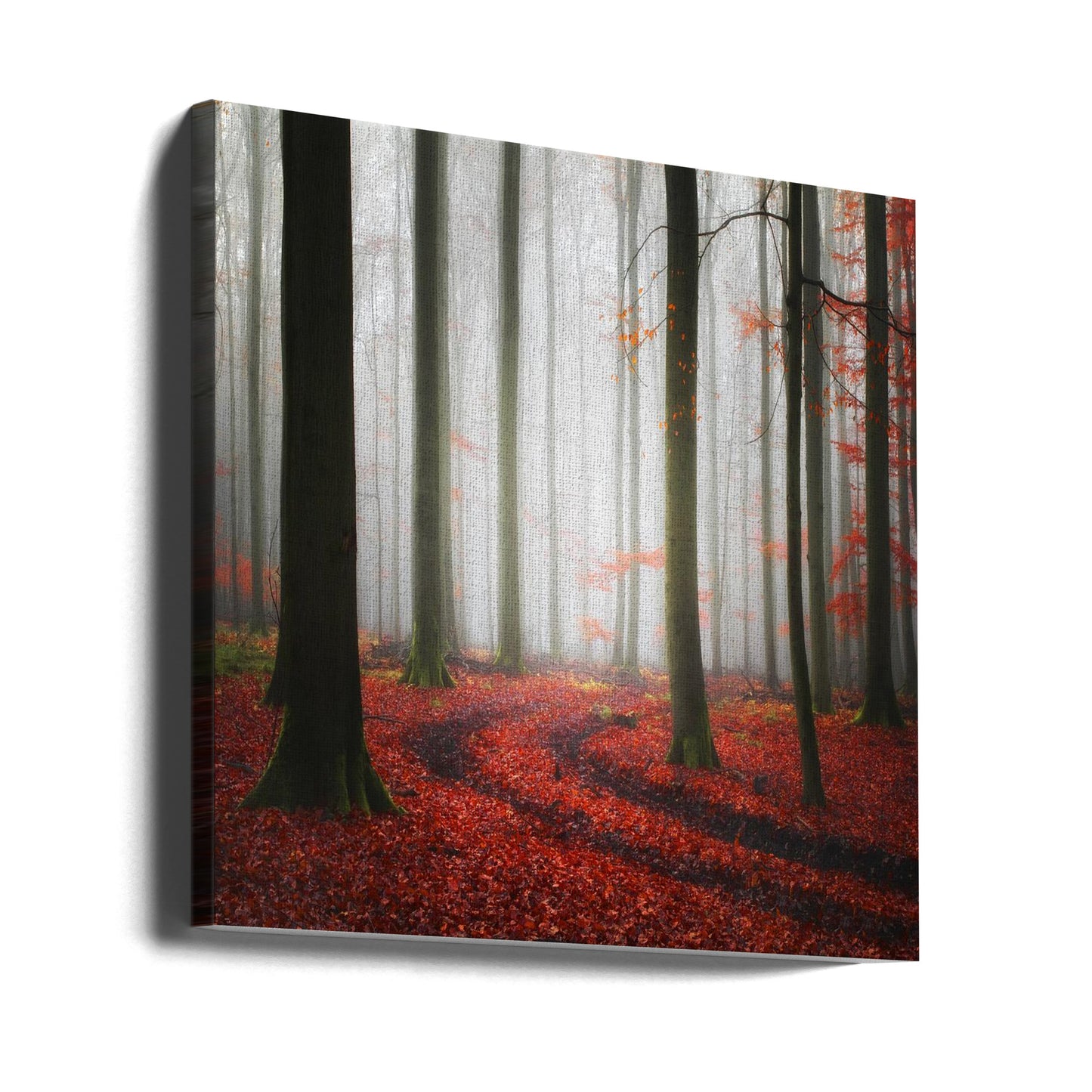 Höstspår | Canvas