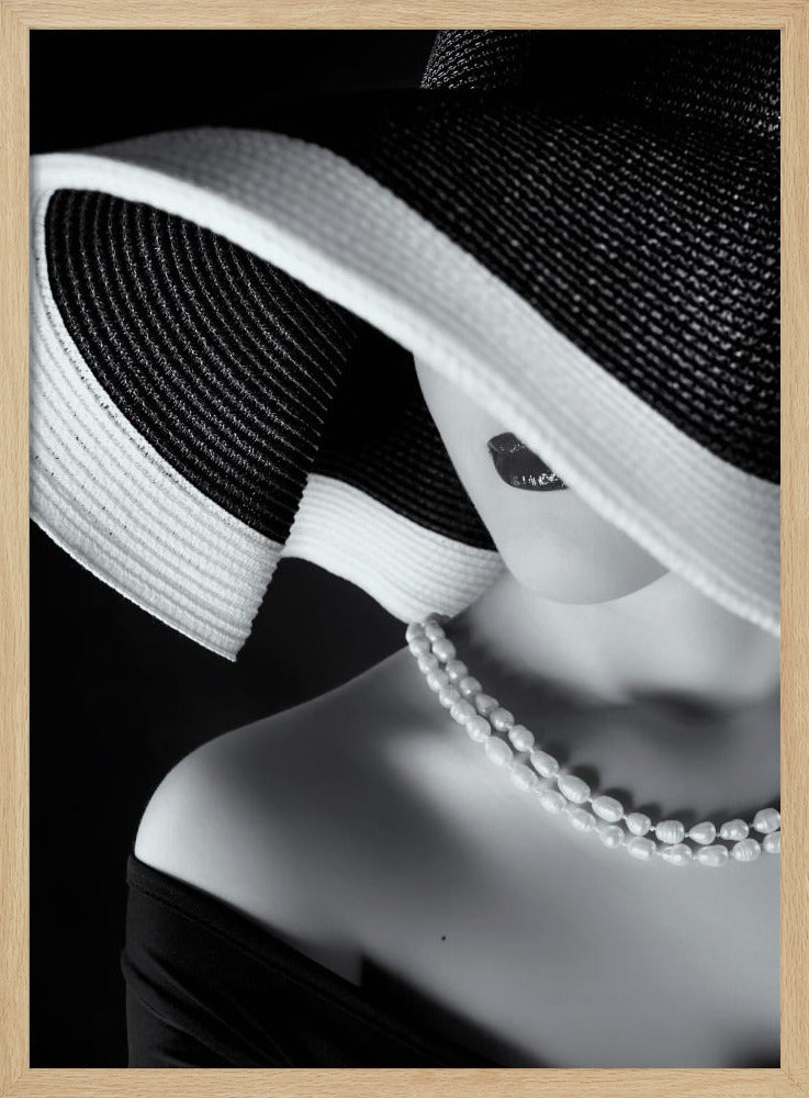 Elegans i skuggan | Poster