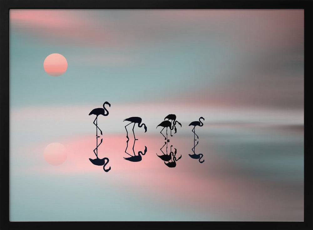 Familj flamingos. | Poster