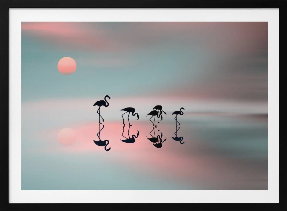 Familj flamingos. | Poster