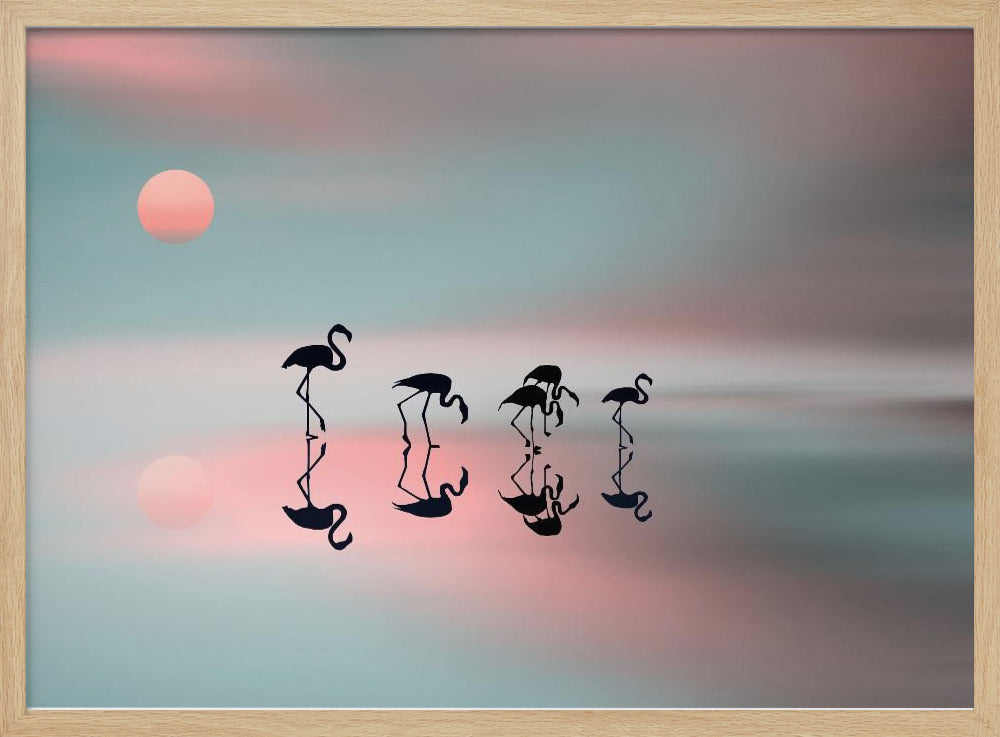 Familj flamingos. | Poster