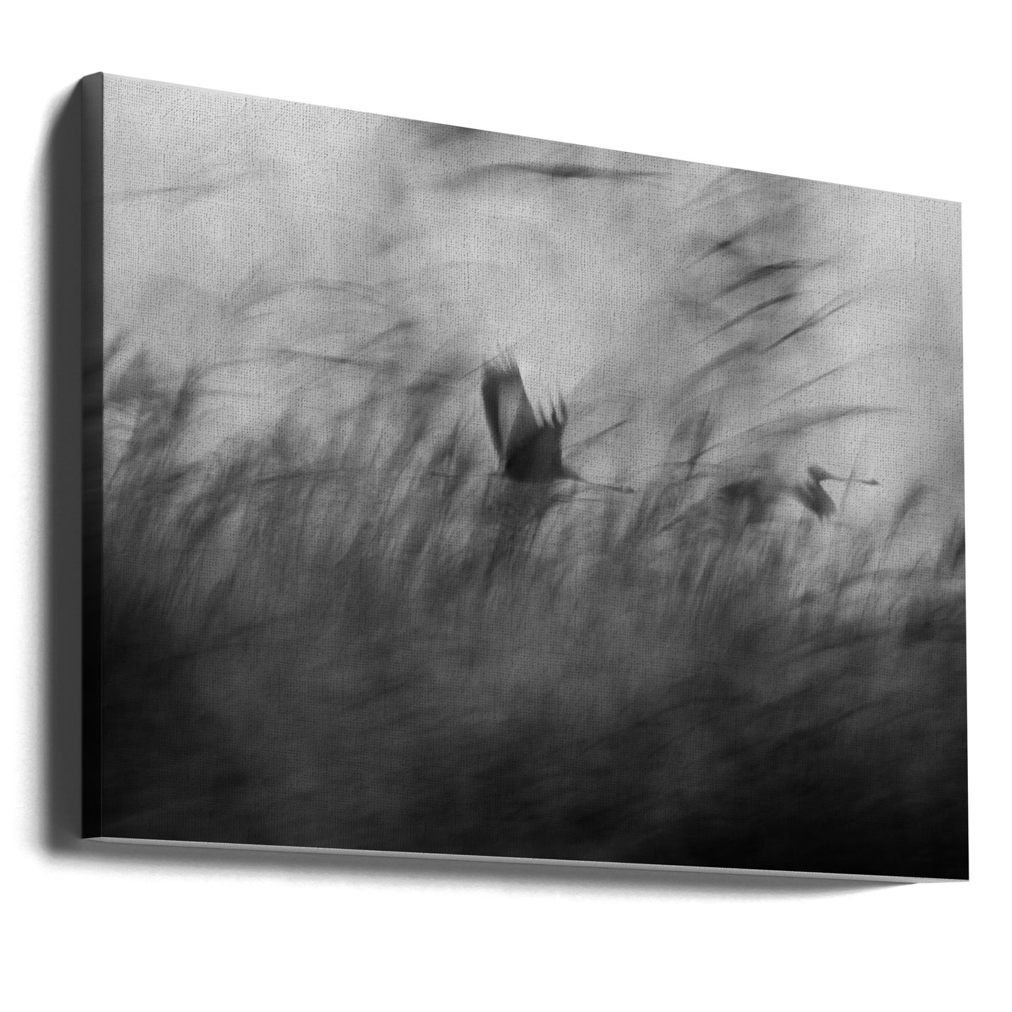 Aus heiterem Himmel | Leinwand-Bilder