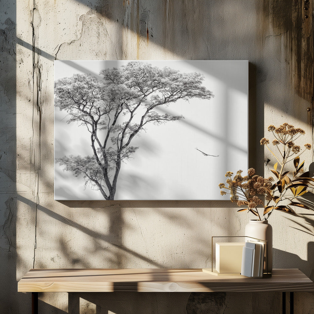 the African eagle | Canvas