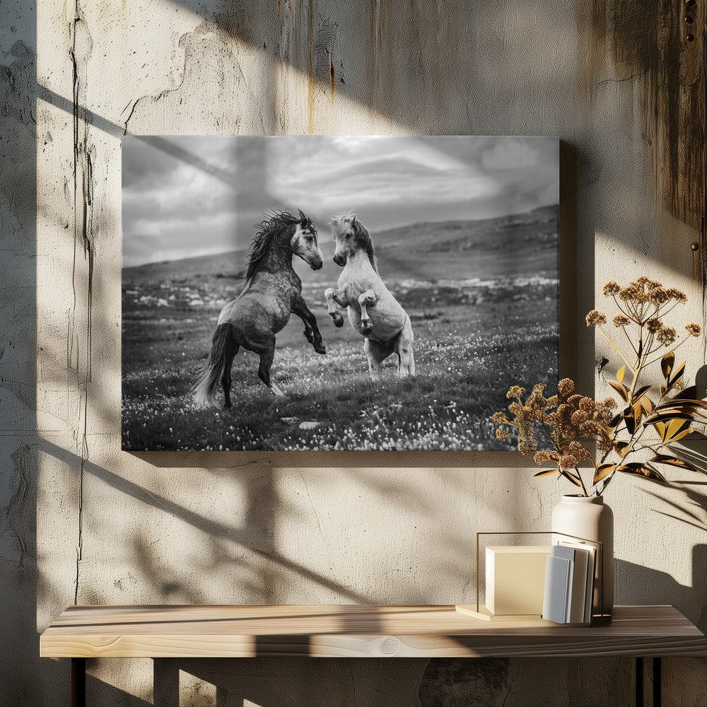 Vild och fri | Canvas