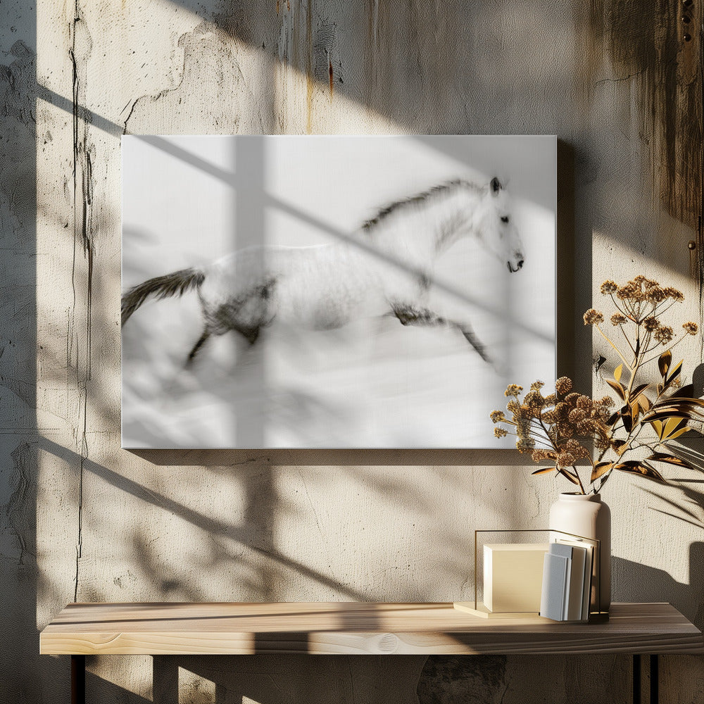Det unika penseldraget | Canvas