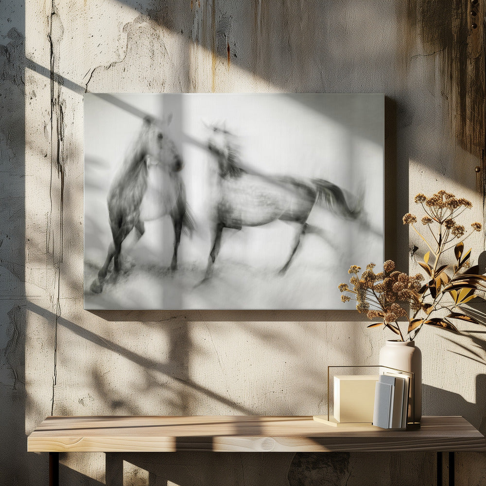 Rysningar | Canvas