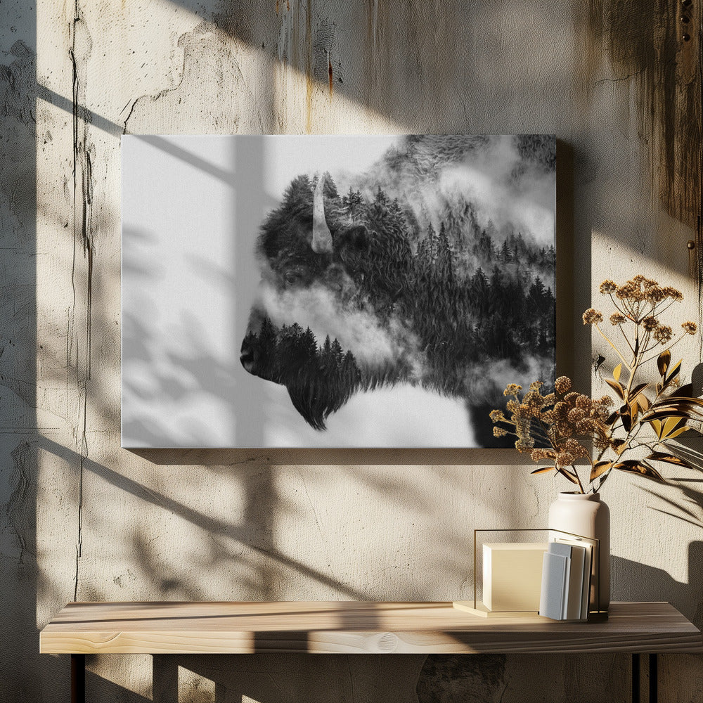 Bison | Canvas
