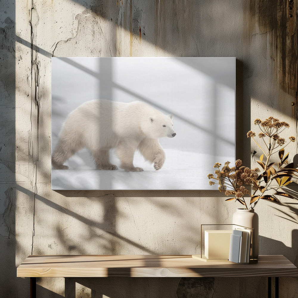 White | Canvas