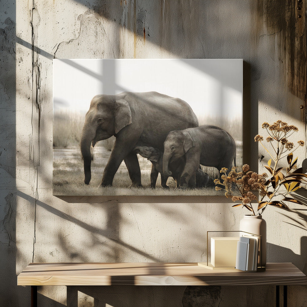 familjeporträtt | Canvas