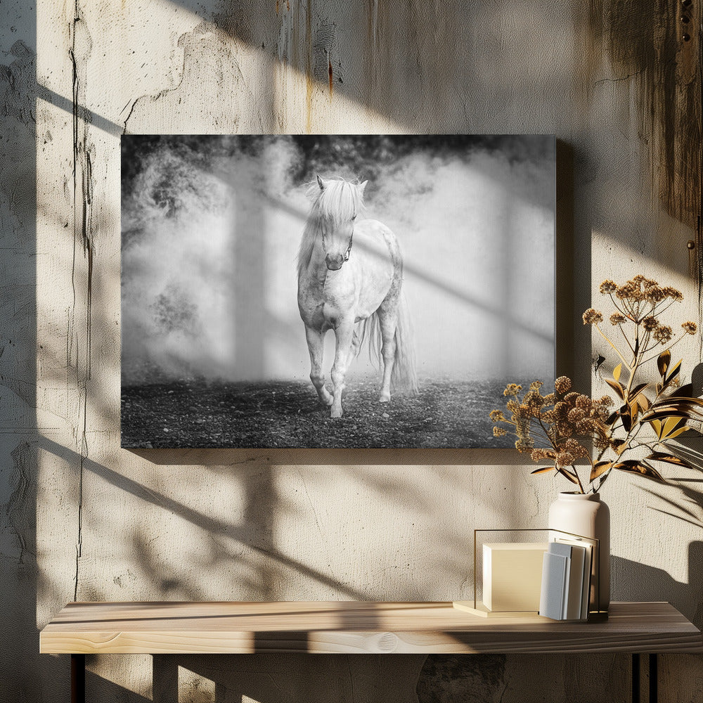 Islandsponny | Canvas