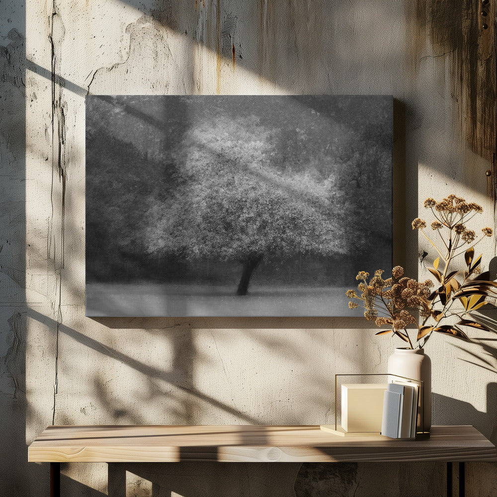 Tremagi | Lerretsbilder