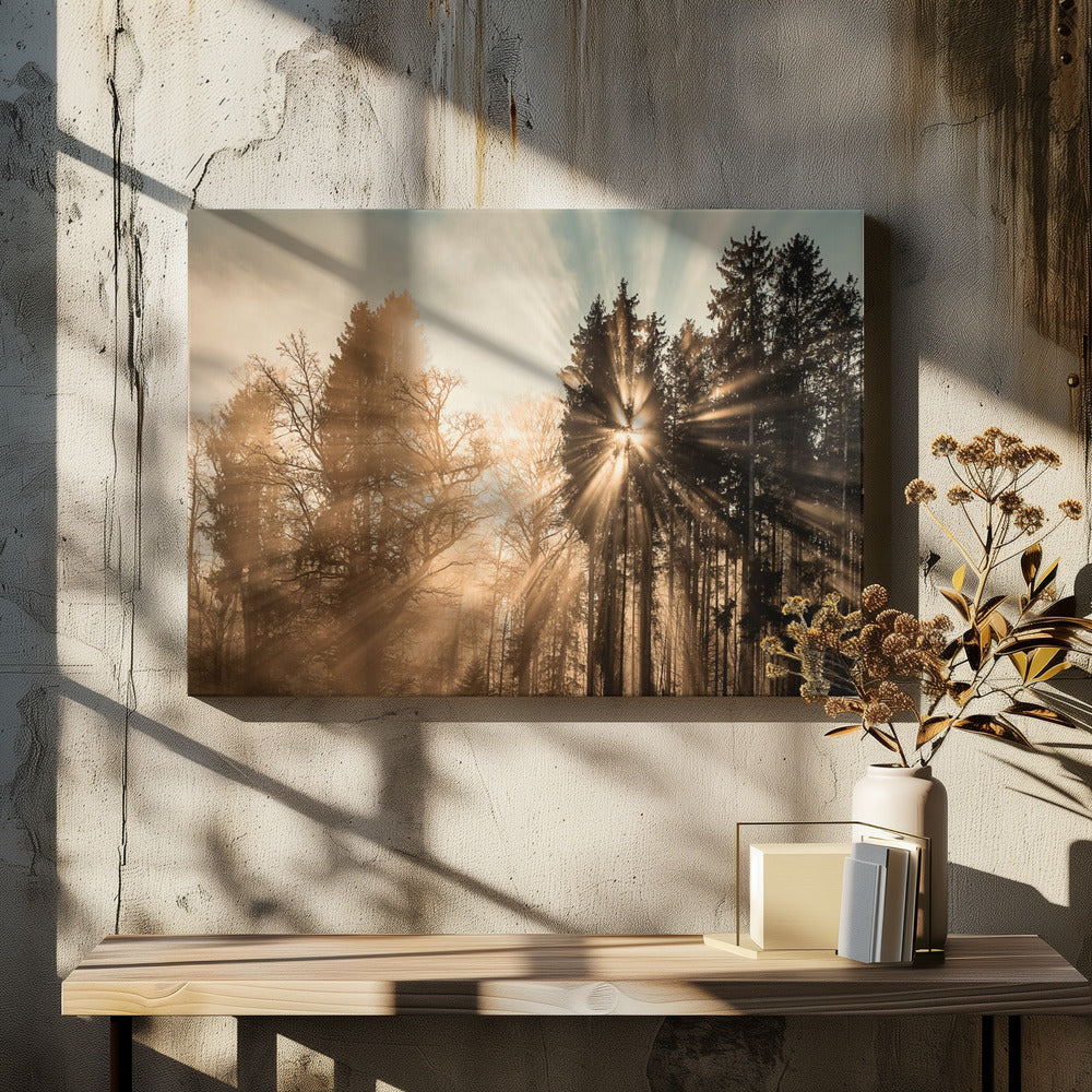Forsvinner | Lerretsbilder