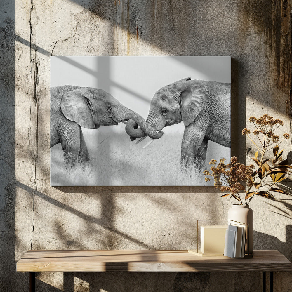 Confrontation | Canvas