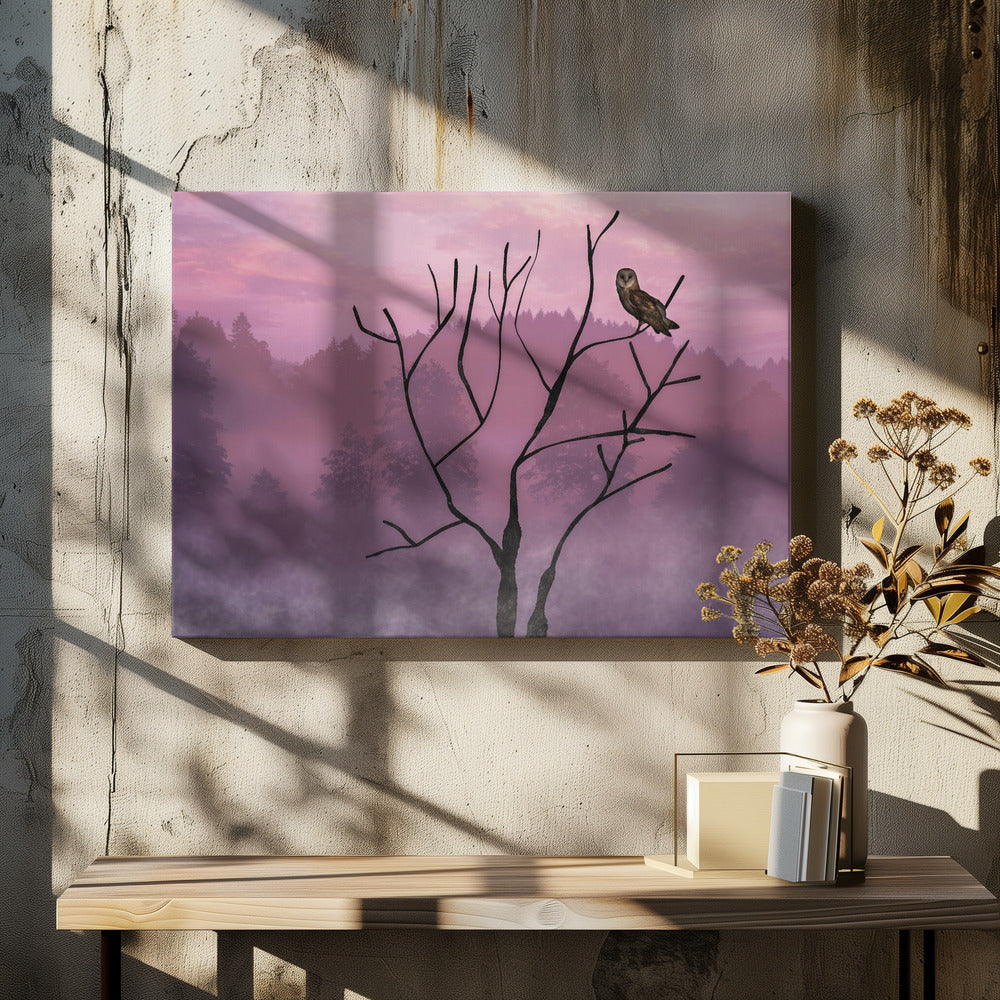Rosa himmel om morgenen | Lerretsbilder