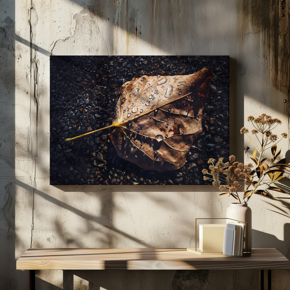 Blad | Lerretsbilder