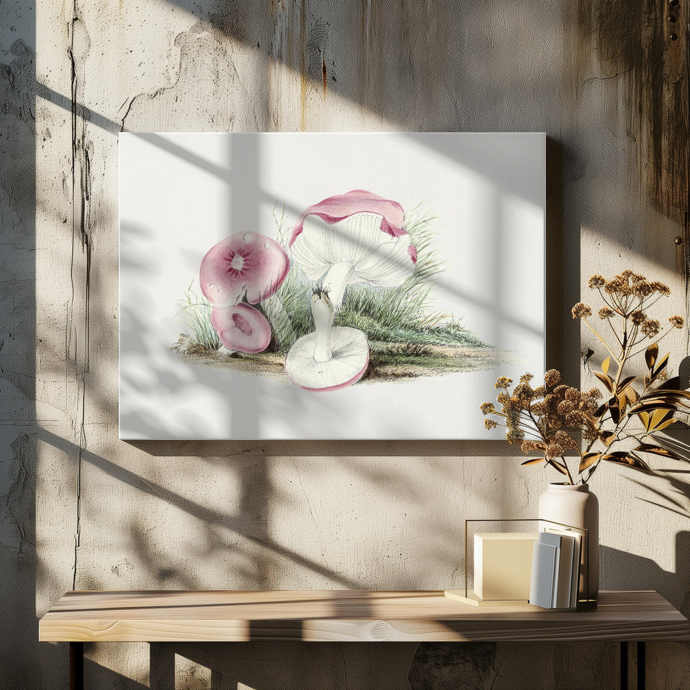 Vintage Russula Emetica-svamp | Canvas