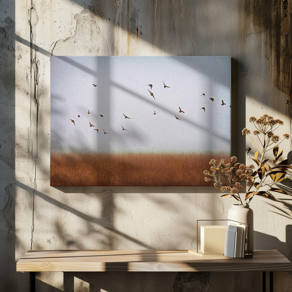 freedom | Canvas