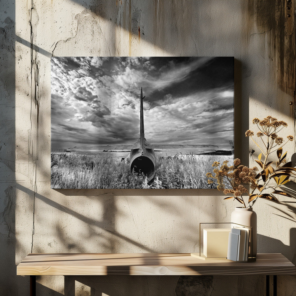 Tail | Canvas
