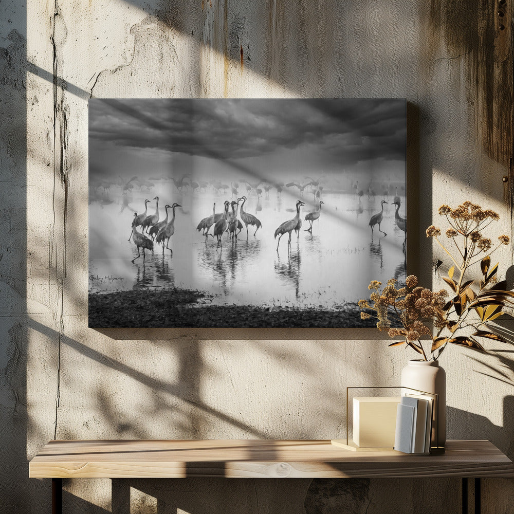 Sonnenaufgang am See | Leinwand-Bilder