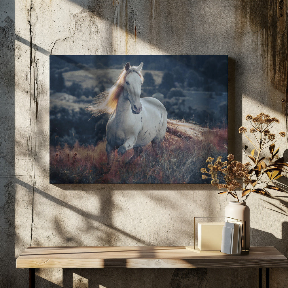 a short story about sunrise | Canvas