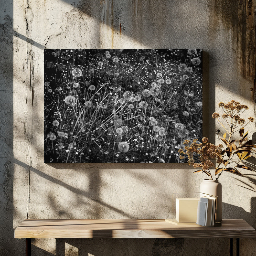 The dandelion field | Canvas