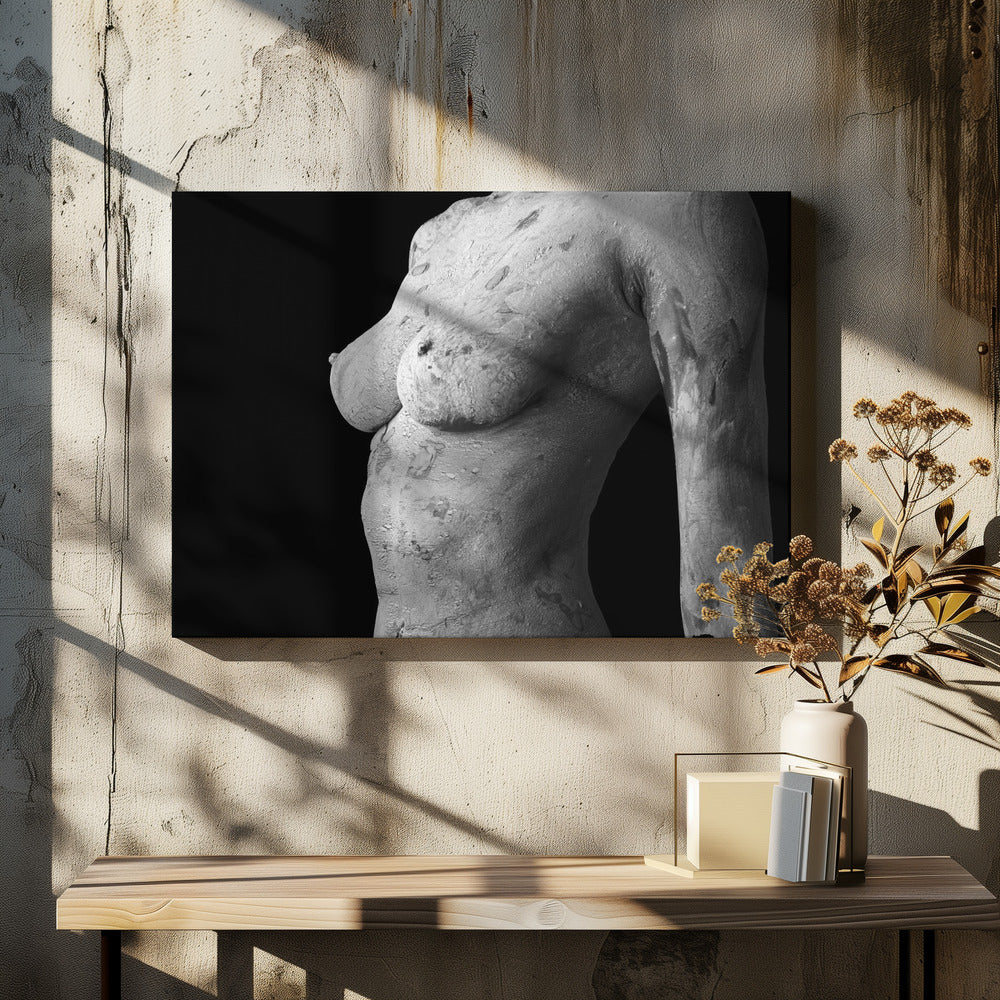 Aberrant Beauty | Canvas