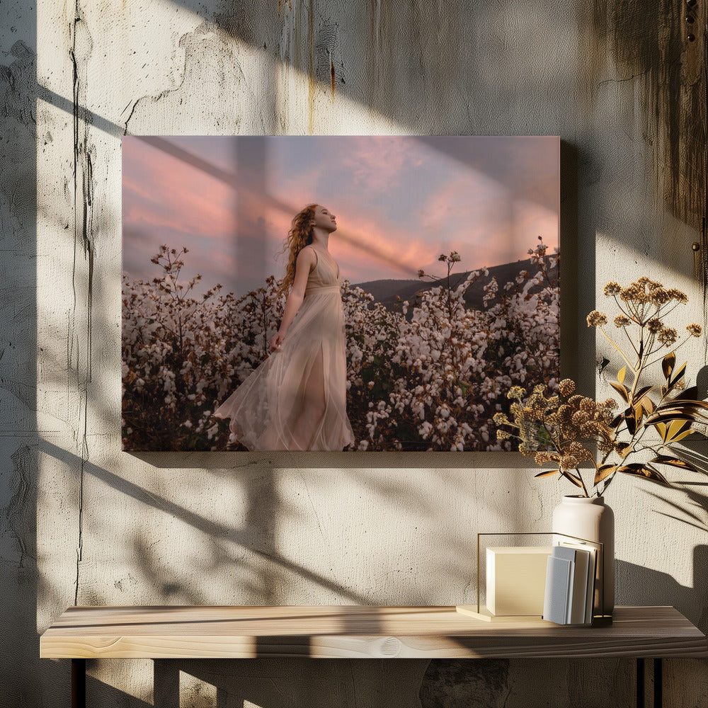 Solnedgång i bomullsfältet | Canvas
