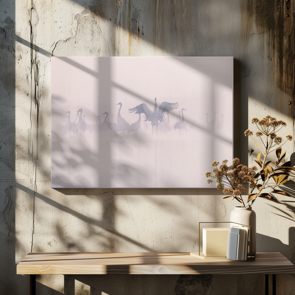 Common Cranes in the morning mist | Canvas
