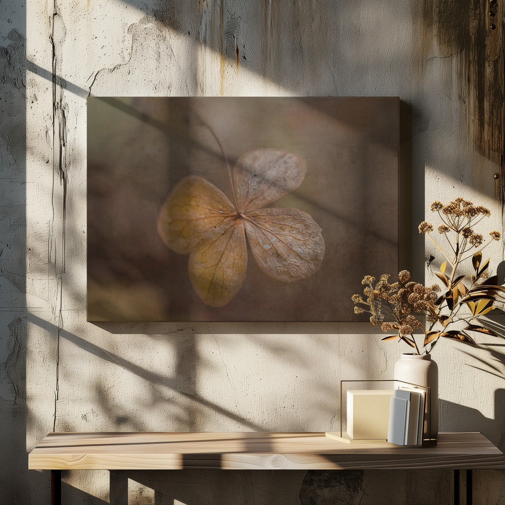 dagens rester | Canvas