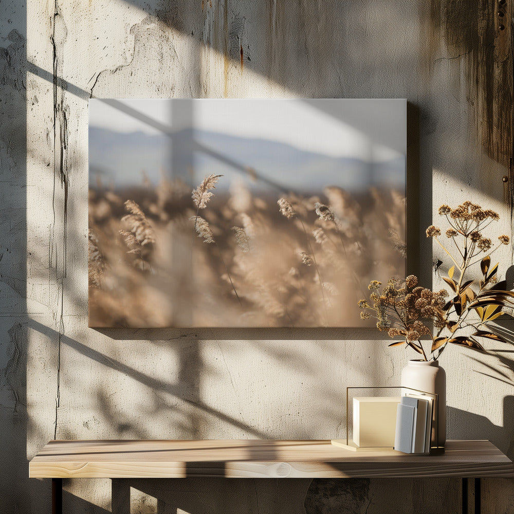 Kärrgräs nr 11 | Canvas